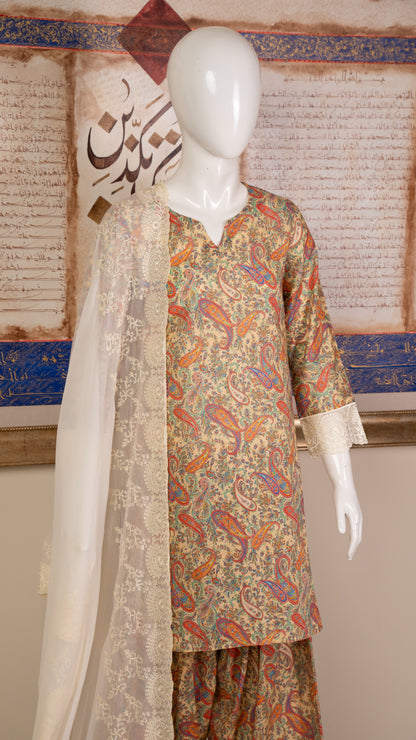 Printed Lawn Suit