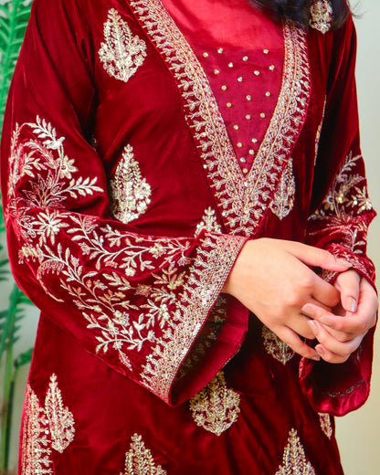 Maroon Velvet Dress